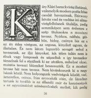 Ady Endre: Az uj Hellász. Bp., 1920., Amicus,(Hornyánszky Viktor-ny.), 109 p. Első kiadás. Kozma Laj...