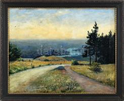 Olvashatatlan jelzéssel: Budapesti panoráma a Budai hegyekből, 1931. Olaj, vászon. Jelzett. Dekoratí...