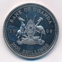 Uganda 2006. 2000Sh "A labdarúgás halhatatlanjainak csarnoka - Franciaország 1990-es évek"...