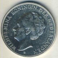 Hollandia 1930. 2 1/2G Ag "Wilhelmina" T:2/3