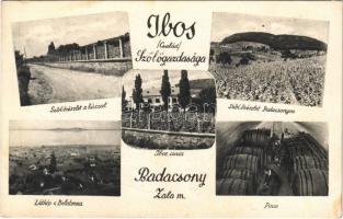 1939 Badacsony, Ibos család szőlőgazdasága, szőlőrészlet a házzal, Ibos kúria, pince belső