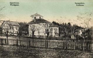 Savanyukút Erdő str.