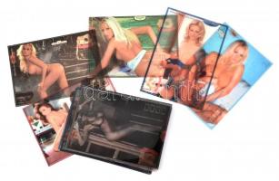 Erotikus/pornográf képeslapok nyomdai levonóképei, 19 db, 10x14 cm