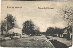 Sljivosevci, Pozdrav iz Sljivesevci; utca, templom / street, church (EM)