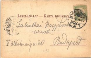 1903 Zagreb, Zágráb; Jelacicev trg, Hinko Kaufmann i Drug, Skladiste Pokuctva / market, shops / piac...