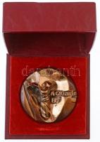 Asszonyi Tamás (1942- ) DN "A győzelemért / KISZ Központi Bizottság" két részes, öntött Br...