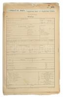 1917 Juhász Gyula (1883-1937) író, költő ideggyógyintézeti kórlapja, rajta a depressziós író korismé...