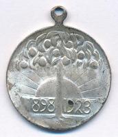 Hollandia 1923. "I. Vilma uralkodásának 25. évfordulójára 1898-1923" kétoldalas, ezüstözöt...