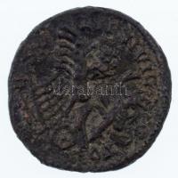 Rpmai Birodalom / Róma / Probus 278. AE Antoninianus (3,50g) T:2-
Roman Empire / Rome / Probus 278....