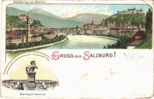 1898 (Vorläufer) Salzburg von Mülln, Pferdeschwamme. C.J. 501/4. litho (EK)