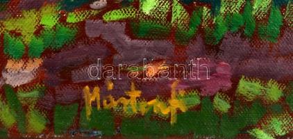 Mártonfi Benke Márta (1958-): Köröspart. Olaj, vászon, jelzett. 50x70 cm