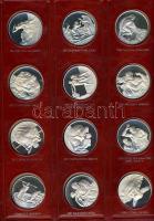 NSZK DN "Michelangelo zsenialitásai" Ag emlékérem-sorozat, benne 60db dekoratív, színezüst...