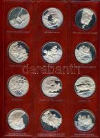 NSZK DN "Michelangelo zsenialitásai" Ag emlékérem-sorozat, benne 60db dekoratív, színezüst...