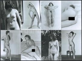 Különböző időpontokban, több fotómodell közreműködésével készült, szolidan erotikus felvételek, régi negatívokról 13 db későbbi nagyítás, 15x10 cm