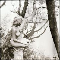 cca 1986 Fészekrakó csalogány, Menesdorfer Lajos (1941-2005) budapesti fotóművész hagyatékából, 13 d...