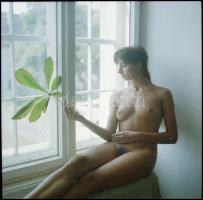 cca 1989 Őszi levelek, Menesdorfer Lajos (1941-2005) budapesti fotóművész hagyatékából, 4 db vintage...