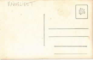 Budapest XVII. Rákosliget, Hősök szobra. photo