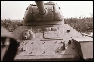 cca 1979 Az 1848-as pákozdi csata emlékműve a Velencei-tó partján, 13 db vintage NEGATÍV Kalocsai Ru...