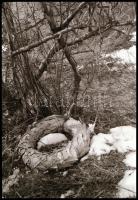 cca 1979 Az 1848-as pákozdi csata emlékműve a Velencei-tó partján, 13 db vintage NEGATÍV Kalocsai Ru...