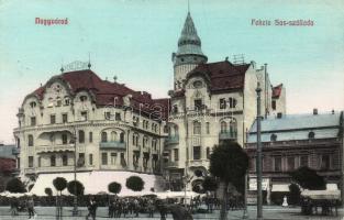 Nagyvárad Hotel Fekete Sas