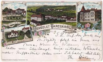 Tarcsa, Tatzmannsdorf; gyógytér, Karolina és Maria villa. Frankl és Ledofsky / spa park, villas. Art Nouveau, floral, litho