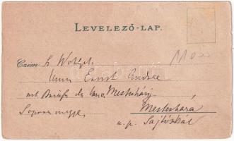 Tarcsa, Tatzmannsdorf; gyógytér, Karolina és Maria villa. Frankl és Ledofsky / spa park, villas. Art...