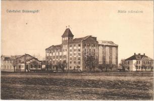 1818 Diószeg, Magyardiószeg, Sládkovicovo; Mária műmalom / mill (EK)