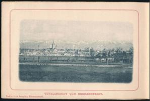 cca 1880 Hermannstadt / Nagyszeben / Sibiu, Erdély képes leporelló