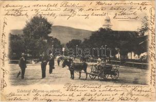 1901 Marosújvár, Uioara, Ocna Mures; utca, szamár szekér / street, donkey cart (r)