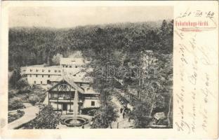 1904 Feketehegyfürdő, Feketehegy, Cernohorské kúpele (Merény, Vondrisel, Nálepkovo); Alsó sétány / promenade (EK)