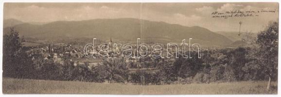 Nagydisznód, Heltau, Cisnadie; Két részes kinyitható panorámalap / 2-tiled folding panoramacard