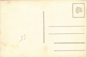 Főherceglak, Főherczeglak, Knezevo (Baranyabán, Popovac, Ban, Béllye); kastély / castle. photo