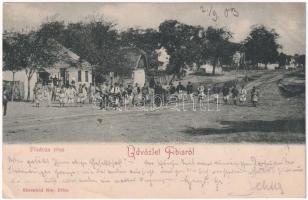 1903 Temesfüves, Fibis; Fő utca. Ehrenfeld Mór kiadása / main street