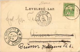 1903 Temesfüves, Fibis; Fő utca. Ehrenfeld Mór kiadása / main street