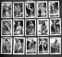 Fotóalbum rengeteg aktfotóval, összesen kb. 267 db, közte régi felvételekről készült, kisméretű fotók és 13 db amatőr fotó, 4x2,5 cm és 13x9 cm közötti méretben