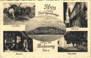 Badacsony, Ibos Szőlőgazdaság reklámja, régi pince, présház, Ibos kúria, borszállítás ökrös szekérrel (EB)