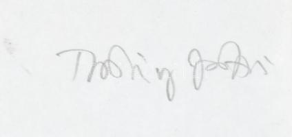 Thuróczy Zoltán (1935-): Kutya (Vizsla). Ceruza, papír ,Jelzett, Üvegezett keretben. 14x21 cm