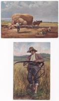 14 db RÉGI motívum képeslap: folklór, aratás / 14 pre-1945 motive postcards: folklore, harvest