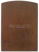 Csillag István (1881-1968) 1911. "Dr. Vázsonyi Vilmos 1901-1911" egyoldalas Br plakett (53...