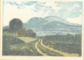 Csurgói Máté Lajos (1931 - 2001): Badacsony. Rézkarc, papír, 27x40cm, jelzett, sérült, kopott, üvegezett keretben.