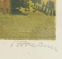 Török Endre (1926-1980): Ómassa (Bükk). Színes linó, papír, jelzett, 35×24 cm, sérült, kopott, üvege...