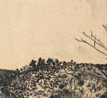 Maurer Dóra (1934): Dunakanyar.
Rézkarc, papír, jelzett, 28×28 cm, sérült, kopott, üvegezett keretb...