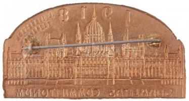 1918. "SODALITAS COMMILITONDUM" egyoldalas Br lemezjelvény, hátlapon "MORZSÁNYI J. BU...