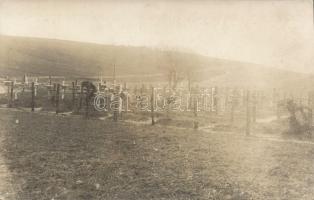 Military cemetery WWI