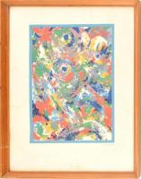 Bolmányi Ferenc (1904-1990): Orbis pictus Szitanyomat, papír. 34x23cm, jelzett. üvegezett keretben, hullámos