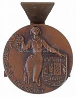 Lajos József (1936-) DN "Rákóczi TSZ - Bort, búzát, békességet" Br emlékérem asztali tartó...