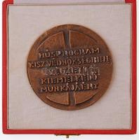 DN "KISZ Védnökség / Húsprogram KISZ Védnökségben végzett kiemelkedő munkájáért" Br emléké...