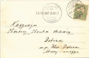 1905 Alcsút (Alcsútdoboz), Községháza, Fő utca, Fogyasztási Szövetkezet üzlete és saját kiadása (fa)