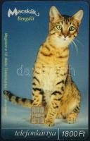 2003 MATÁV macskás telefonkártya, 2000 példányos, jó állapotban