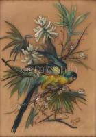 Szontag M 1906 jelzéssel: Papagáj. Üveg, zománcfesték, szép keretben 30x40 cm